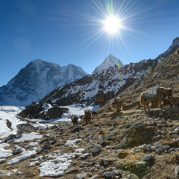 Jalur trekking menuju Everest Base Camp, Nepal